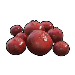 紅色莓果