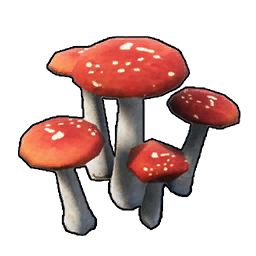 蘑菇