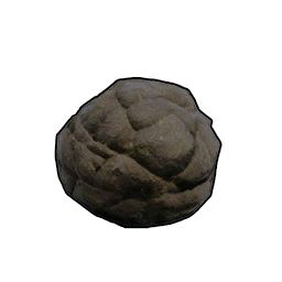 大坨糞便