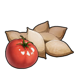 蕃茄種子