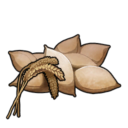 小麥種子