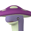 菇波