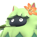 トロピティ