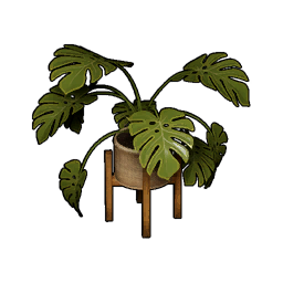 觀葉植物套組